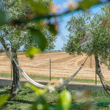 Ortopi Country Canapa House Порто Реканати Екстериор снимка