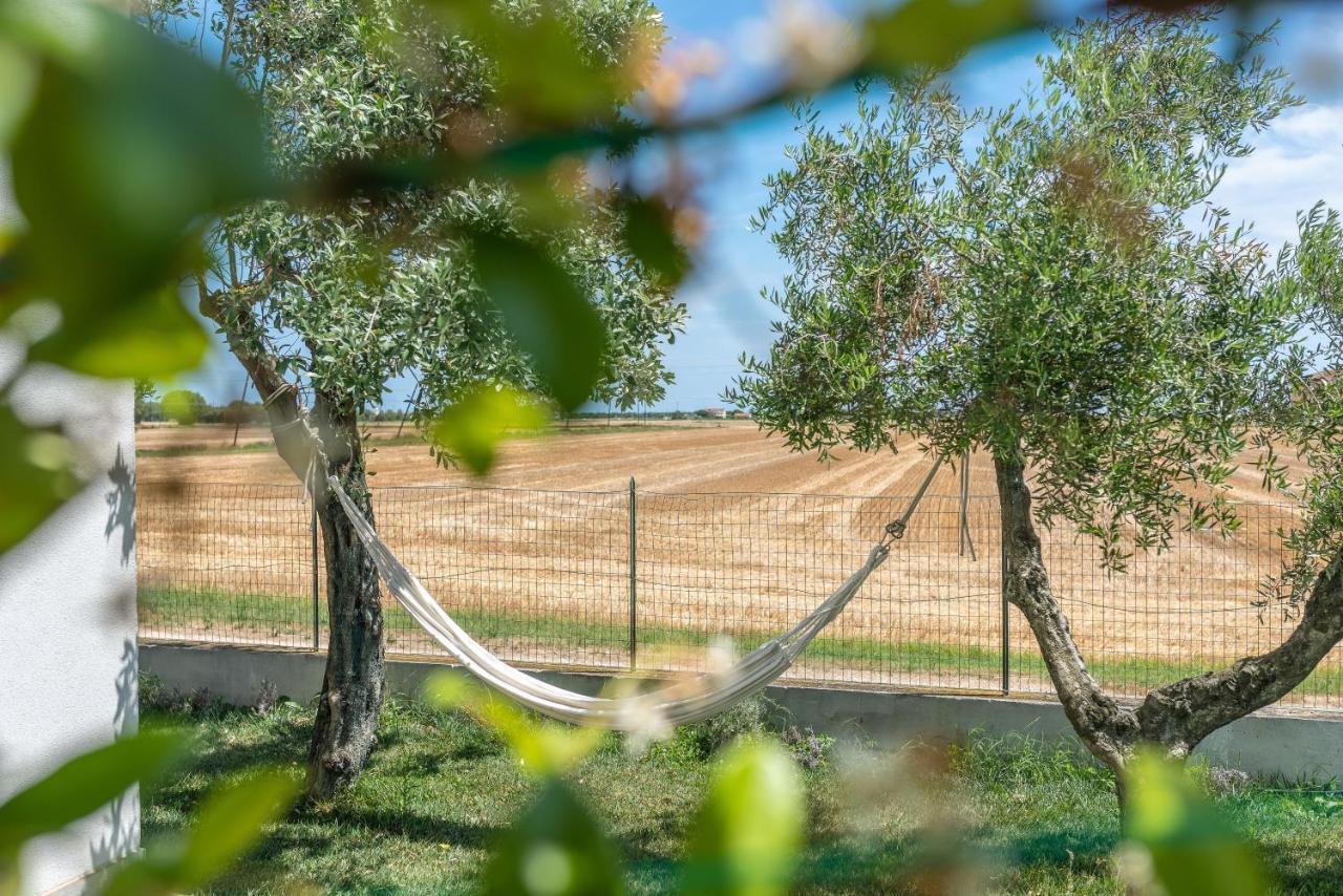 Ortopi Country Canapa House Порто Реканати Екстериор снимка